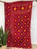 Vintage Cotton Kantha Quilt - Twin